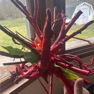 Unique Red Decorative Branch with LED Light